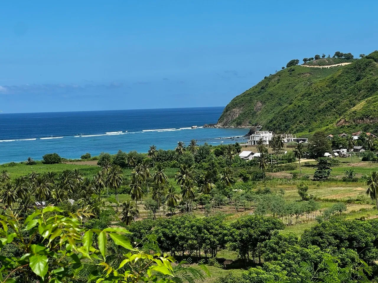 Elevated view over palm groves and farmland toward the Selong Belanak coast and surf, South Lombok.