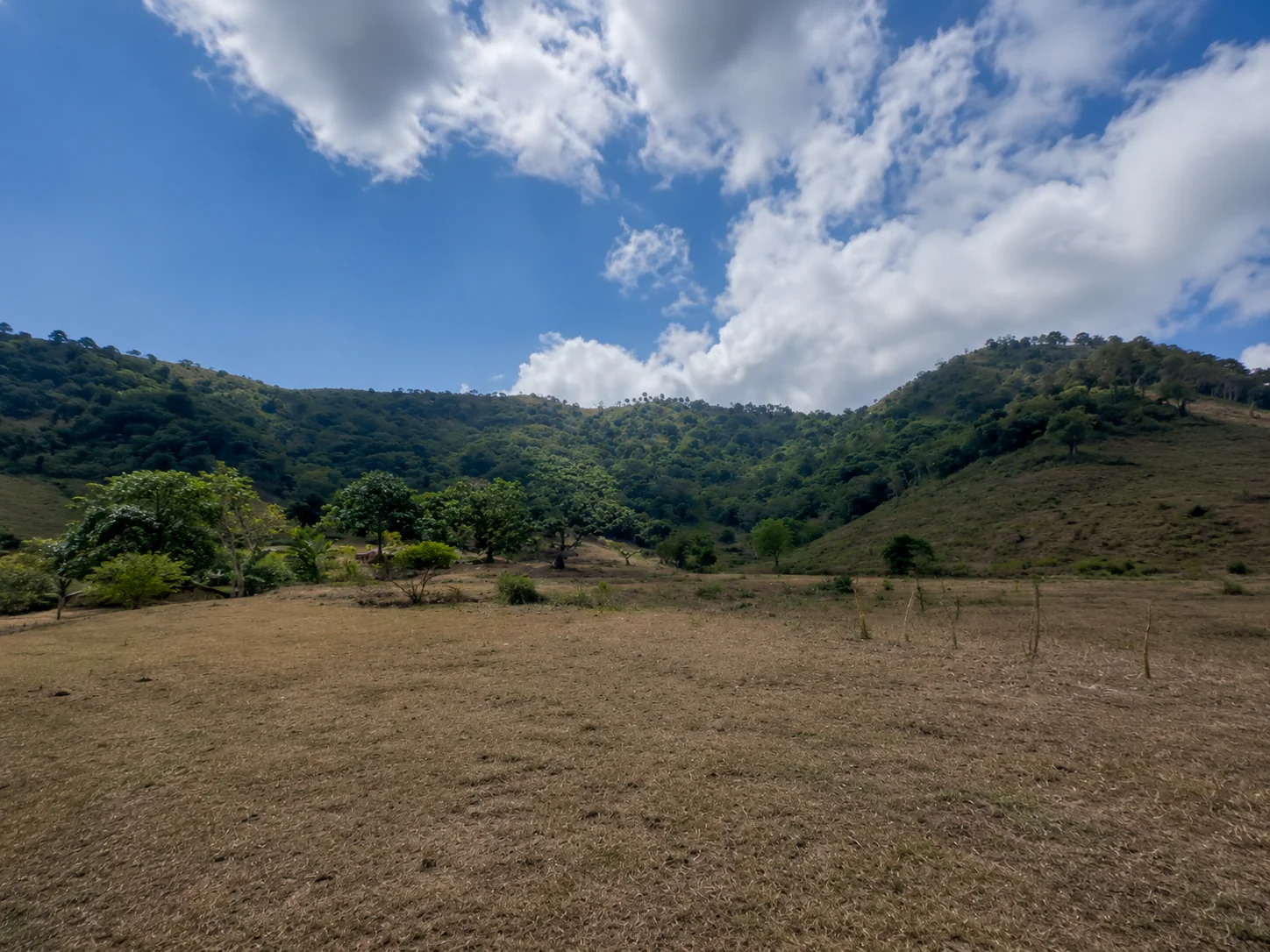 Terrain Freehold Plat de 59 Ares à Selong Belanak